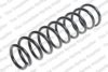 ROC CS8082 Coil Spring